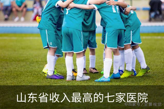 山东省收入最高的七家医院