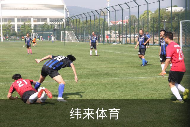 纬来体育公司简介