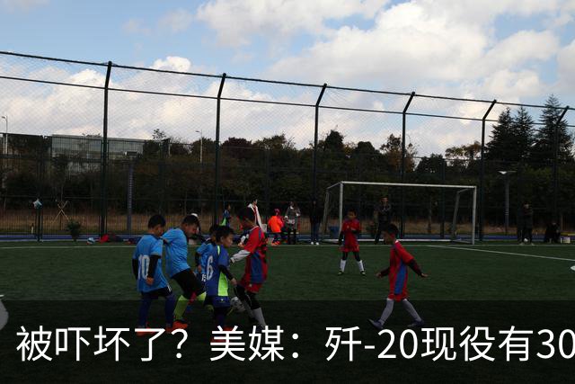 被吓坏了？美媒：歼-20现役有300架，歼-20S对美空军形成绝对碾压